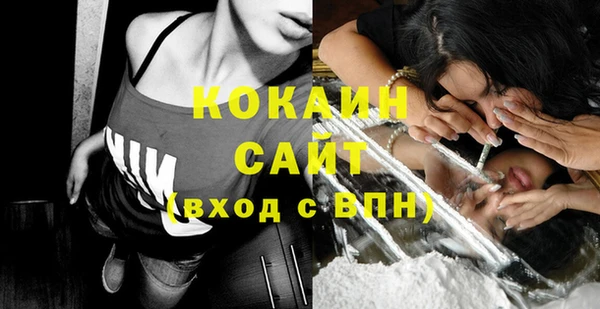 дмт Аркадак