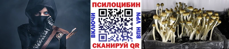 Галлюциногенные грибы Psilocybine cubensis хочу Калязин